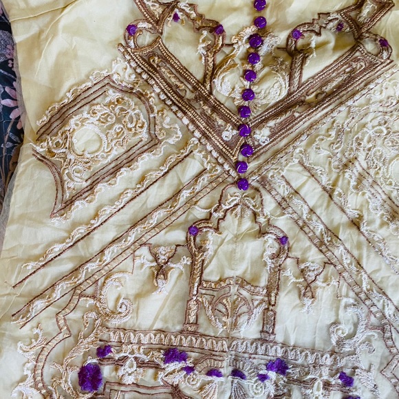 Pakistani brand new net shirt. With slik duppat - Picture 5 of 16